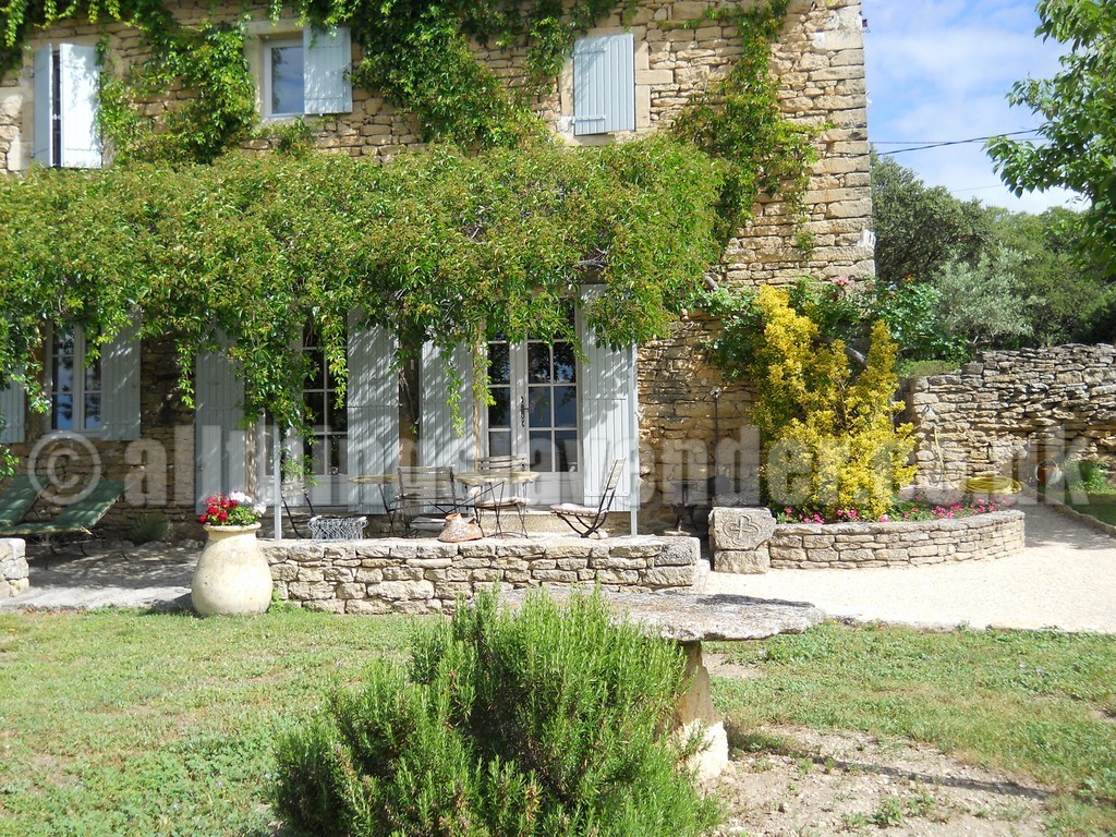 All Things Lavender  Fields Of Lavender  Provence June 2014
