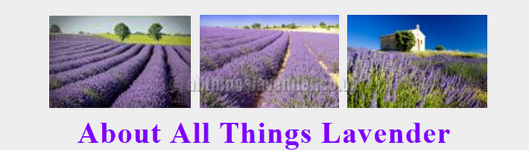 Gifts for all Occasions at All Things Lavender