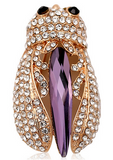    An Attractive Cicada Brooch